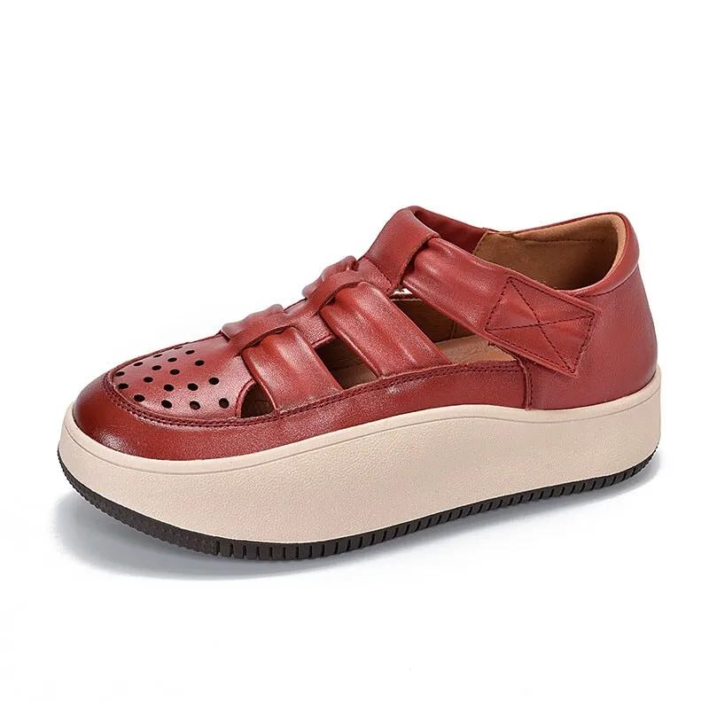 Leather Touch-strap Perforated Platform Sneakers for Women in Beige/Purple/Red