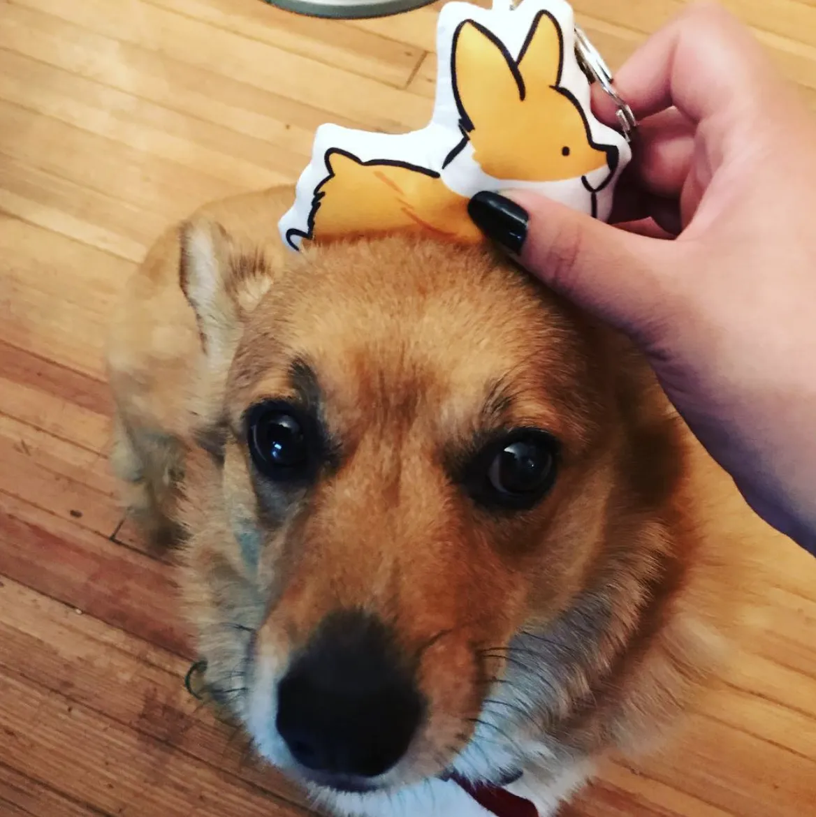 Sploot Corgi Pillow Keychain